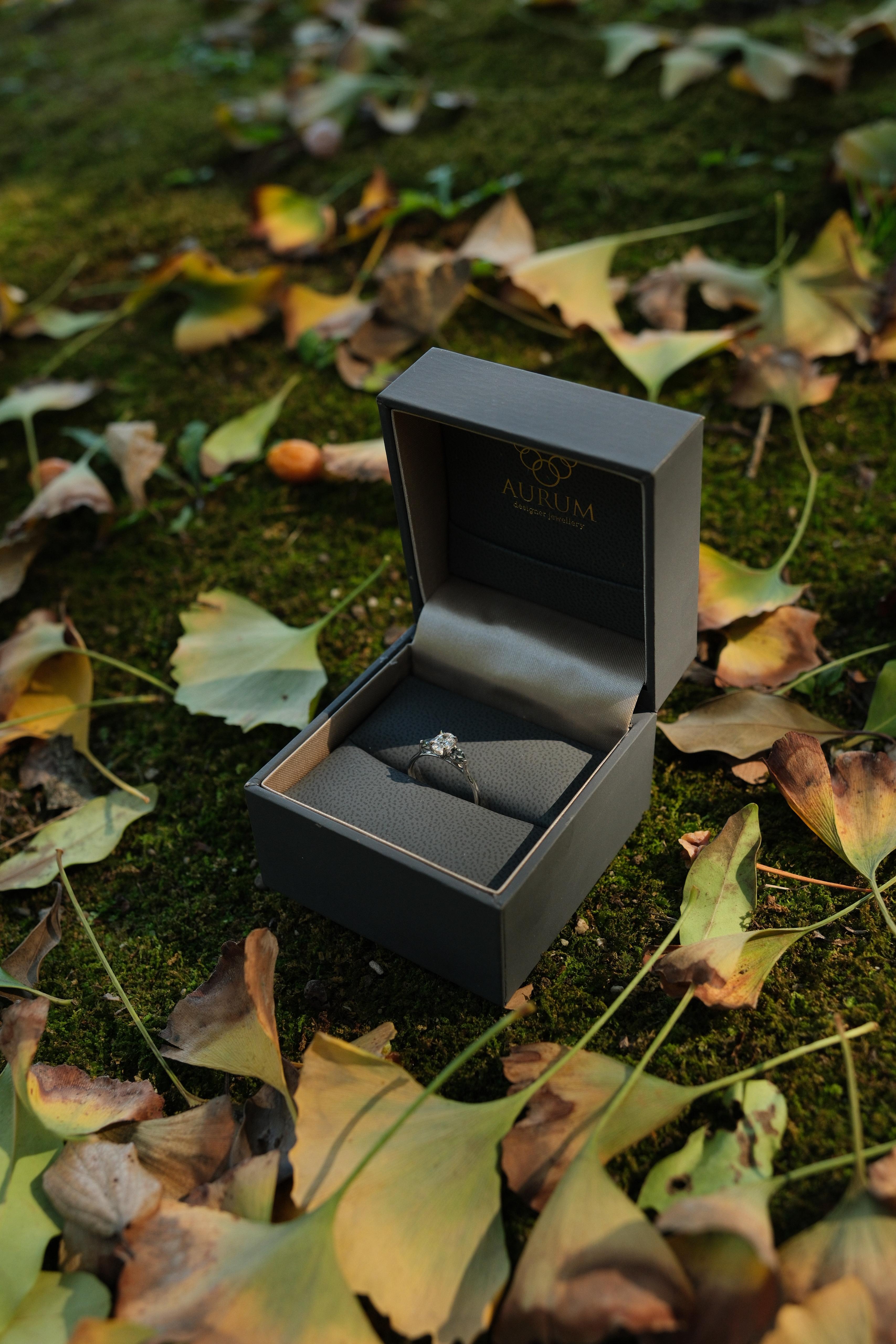 Close-up of the engagement ring